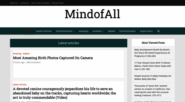 mindofall.com