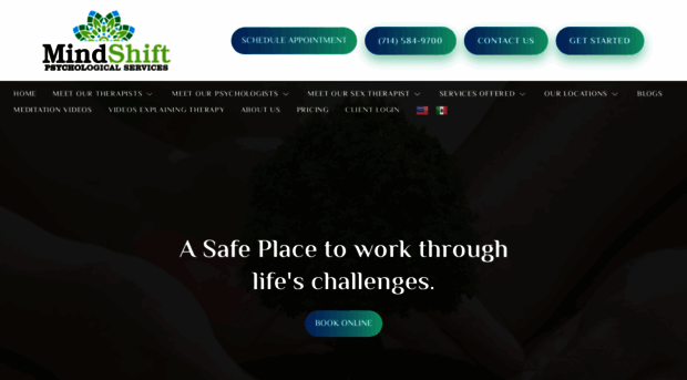 mindshiftwellnesscenter.com