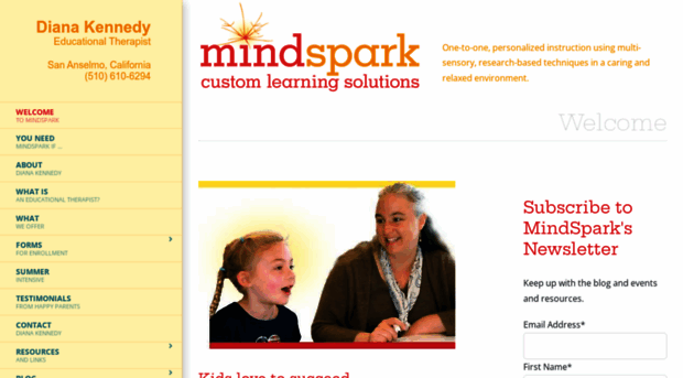 mindsparklearning.com