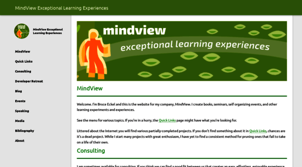 mindviewllc.com