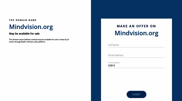 mindvision.org