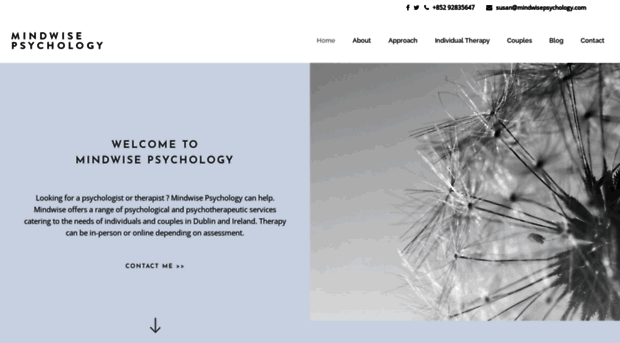 mindwisepsychology.com