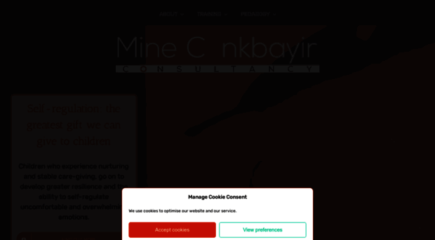 mineconkbayir.co.uk