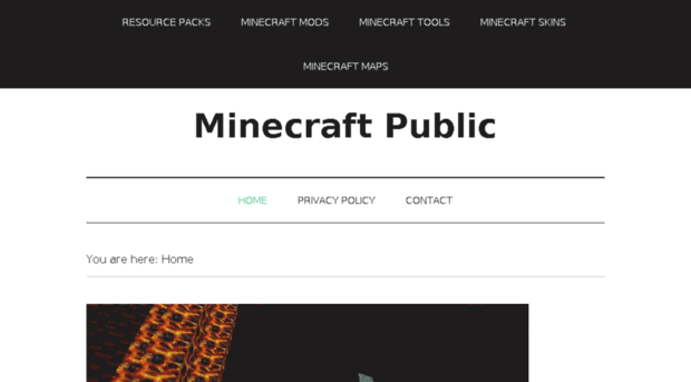 minecraftpublic.com