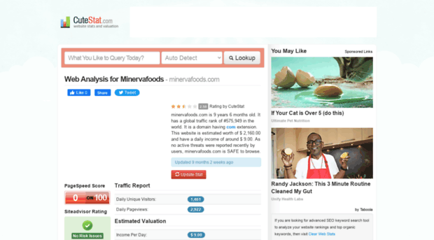 minervafoods.com.cutestat.com