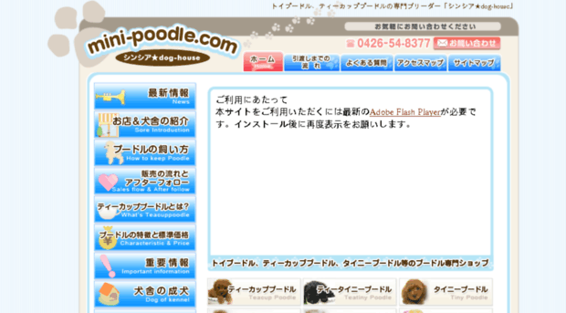 mini-poodle.com