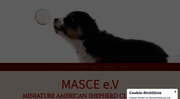 miniature-american-shepherd-club.de