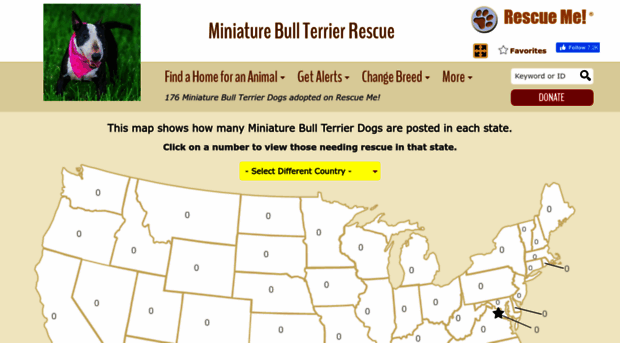 miniaturebullterrier.rescueme.org