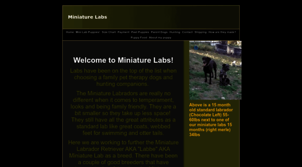 miniaturelabs.net