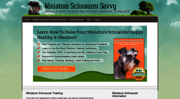 miniatureschnauzersavvy.com