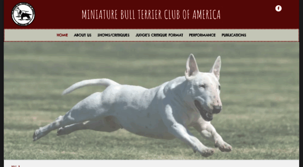 minibull.org