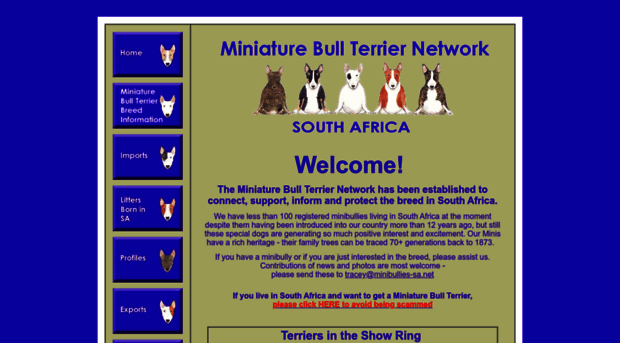 minibullies-sa.net