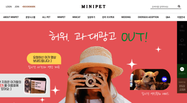 minicats.co.kr