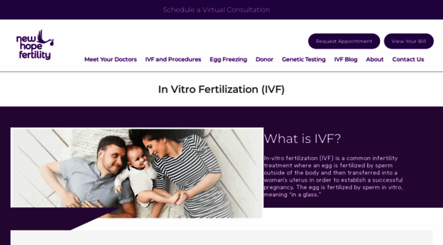 miniivf.com