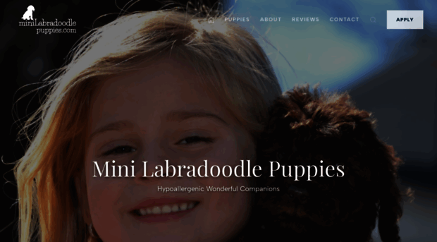 minilabradoodlepuppies.com