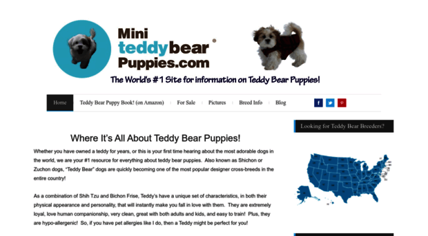 miniteddybearpuppies.com