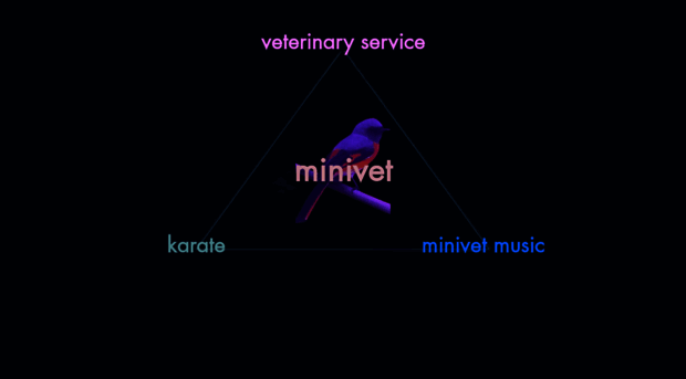 minivet.com