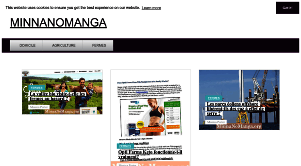minnanomanga.org