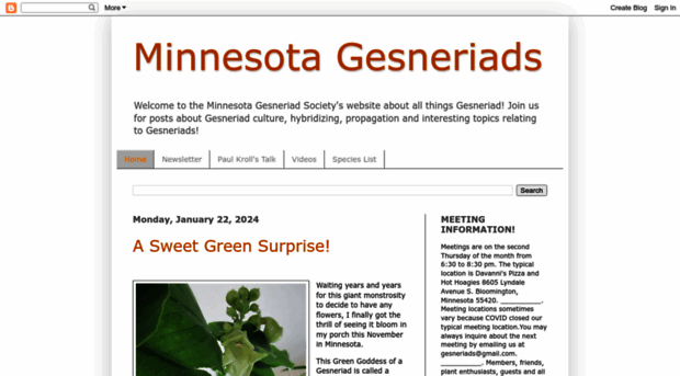 minnesotagesneriads.blogspot.com