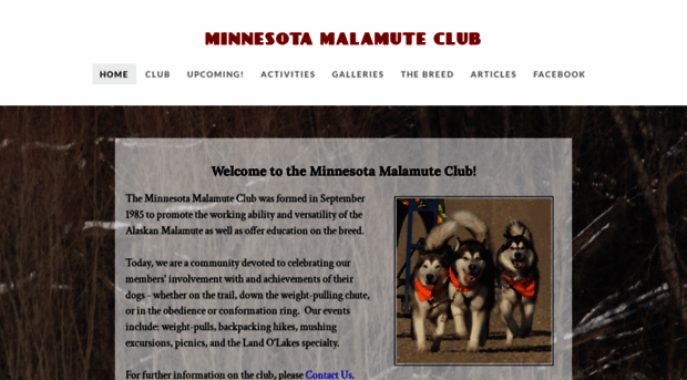 minnesotamalamuteclub.com