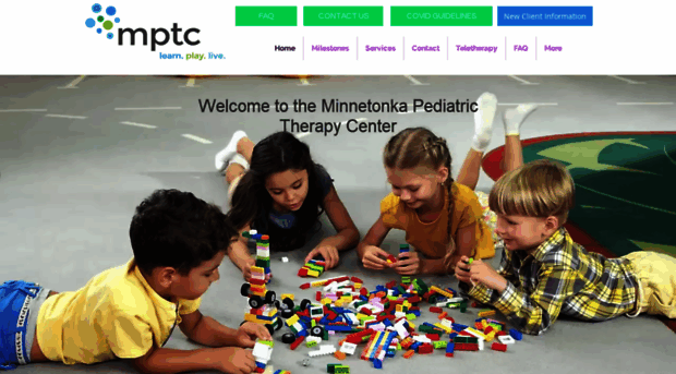 minnetonkatherapy.com