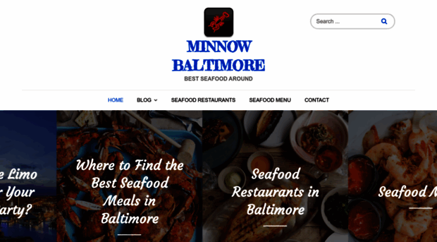 minnowbaltimore.com