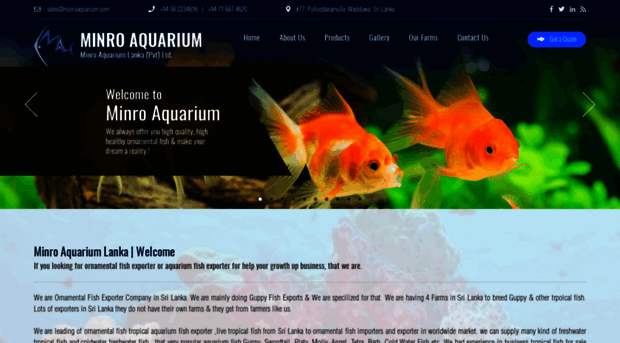 minroaquarium.com