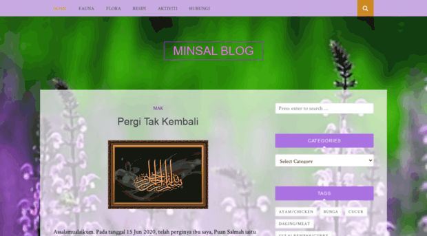 minsal-myblog.blogspot.com