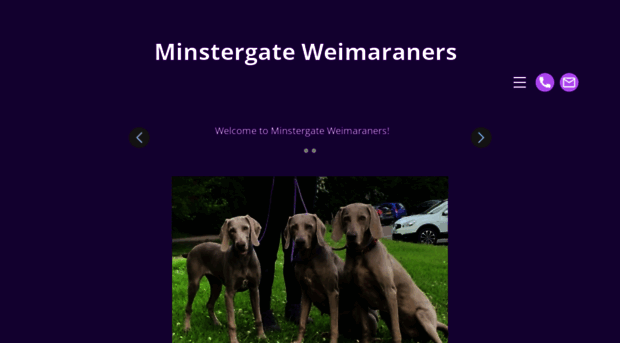 minstergate-weimaraners.org.uk