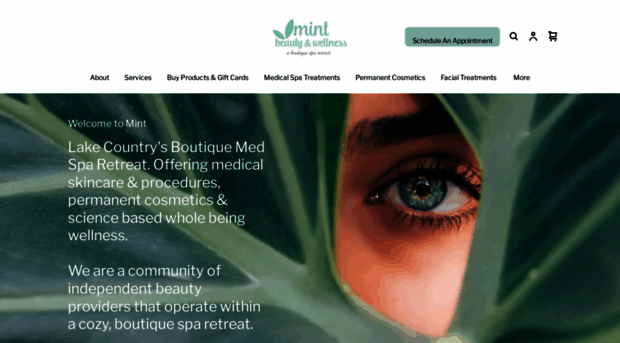mintbeautyandwellness.com