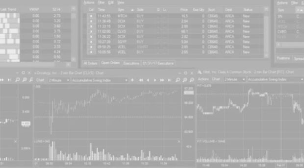 mintcapitaltrading.com