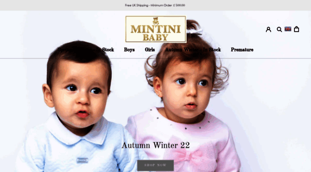 mintinibabyltd.com