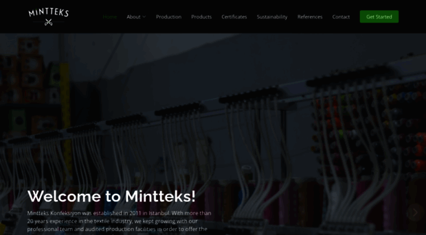 mintteks.com