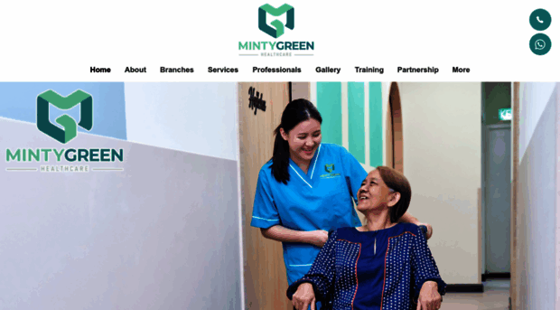 mintygreen-wellness.com
