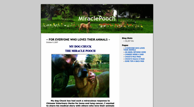 miraclepooch.wordpress.com