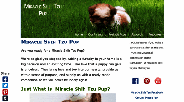 miracleshihtzupup.com