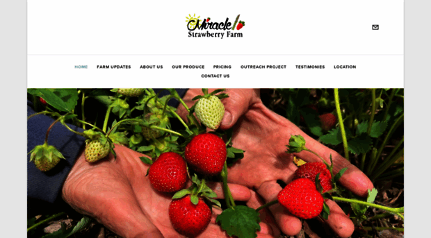 miraclestrawberryfarm.com