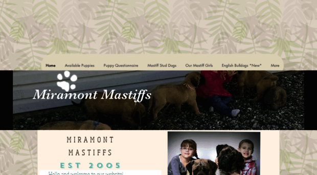 miramontmastiffs.com