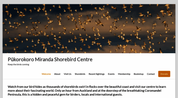 miranda-shorebird.org.nz