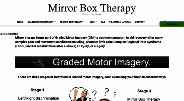 mirrorboxtherapy.com