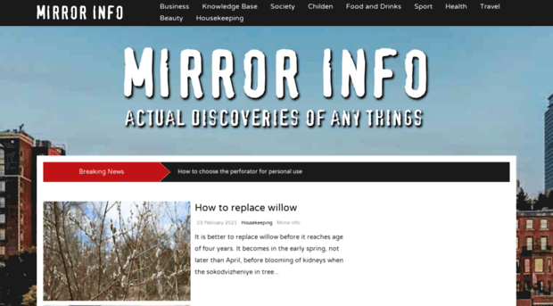 mirrorinfo.com