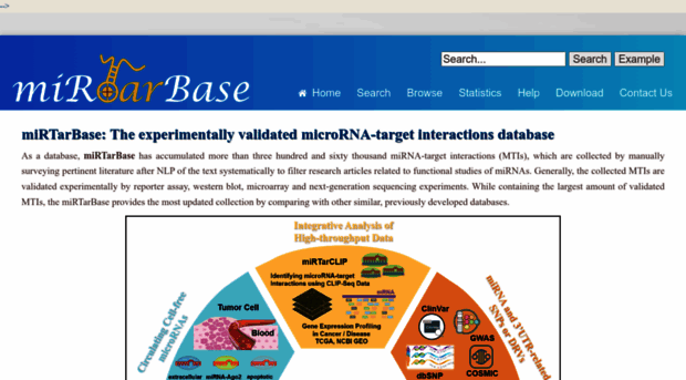 mirtarbase.cuhk.edu.cn