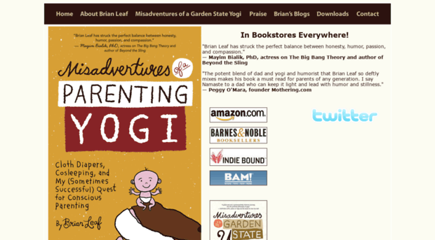 misadventures-of-a-yogi.com