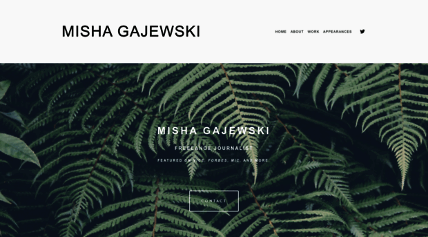 mishagajewski.com