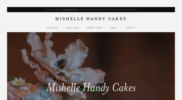 mishellehandycakes.com