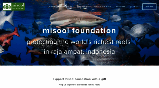 misoolfoundation.org