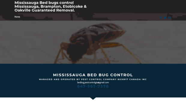 mississaugabedbugs.ca