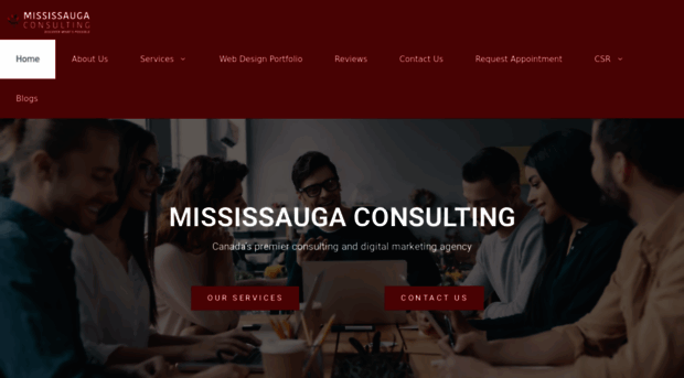 mississaugaconsulting.ca