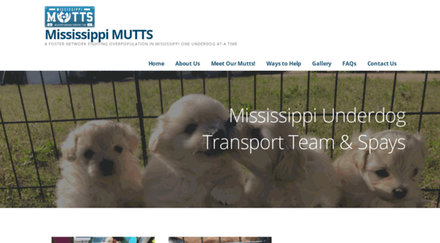 mississippimutts.org