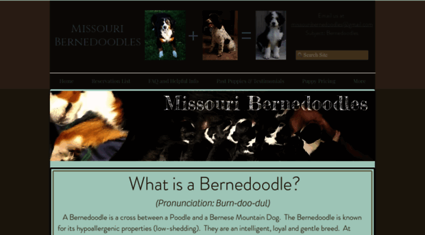 missouribernedoodles.com